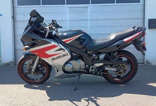 Suzuki gs500f