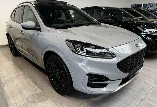 Ford ST-Line X Graphite Tech Edition Pano Dak / 19\