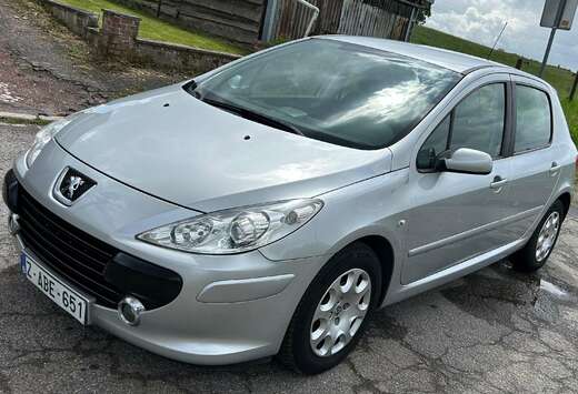Peugeot 1.6i prêt à immatriculé 12mois garanti