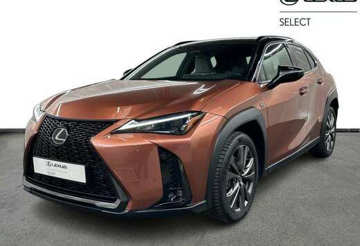 Lexus F-Sport Design  winter pack  all season tyres