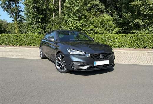 SEAT 2.0 TDI EVO FR DSG (EU6AP)