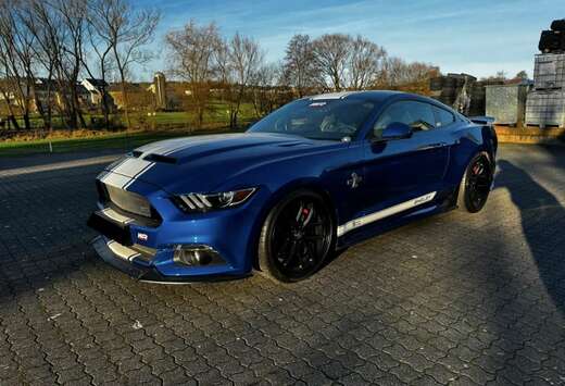 Ford Shelby Supersnake 50th anniversary. nur 1.920km!