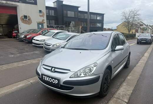 Peugeot 307 90 Grand Filou
