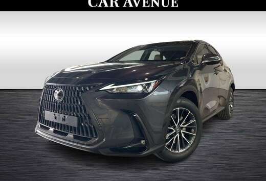 Lexus Executive