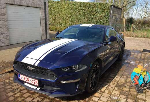 Ford Mustang 2.3 EcoBoost (EU6.2)