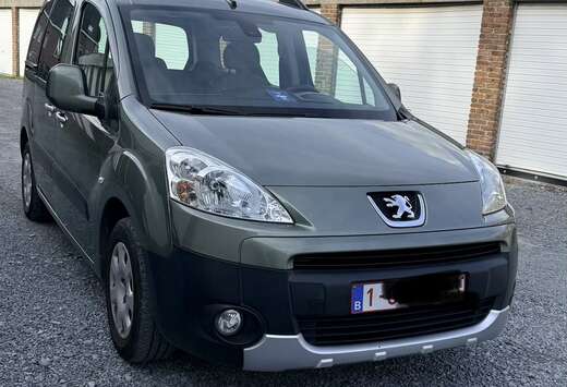 Peugeot Tepee 1.6 HDi Premium FAP