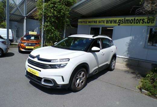 Citroen 1.5HDi 131cv Blanc 05/19 Airco Navi Radio Cru ...