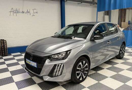 Peugeot STYLE EDCS6 **distributie-ketting**