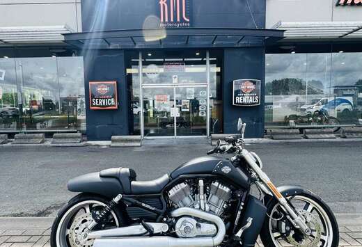 Cruiser - VROD MUSCLE
