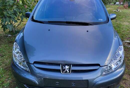 Peugeot 307 1.6i 16v XS