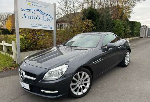 Mercedes-Benz BlueEFFICIENCY nekwarming/sportstoelen/ ...