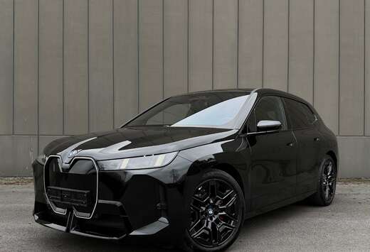 BMW xDrive45 M Sport Pro  Innovatiepak  PANO  Trekhaa ...