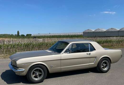 Ford coupé 289