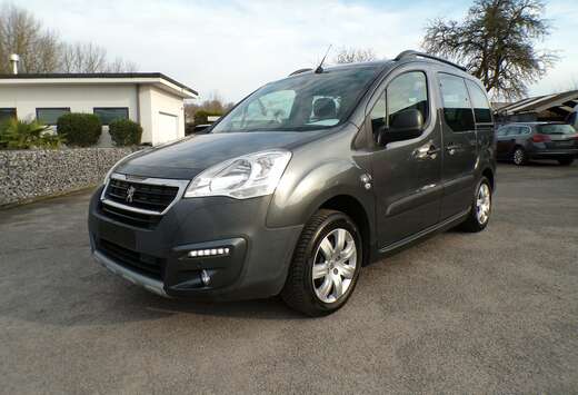 Peugeot Tepee 1.2i Navi/Camera/Auto Airco/104.000km