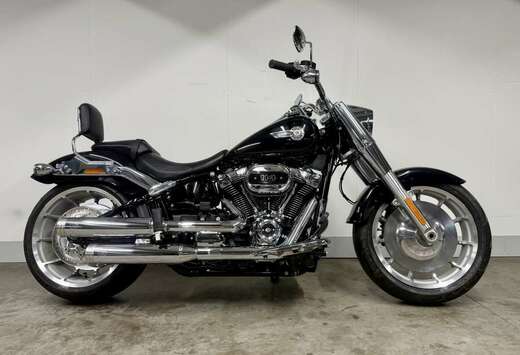 SOFTAIL FLFBS MET ELEKTRONISCH REGELBARE UITLAAT