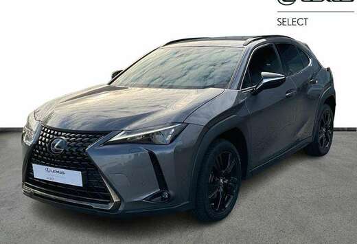 Lexus Black Line