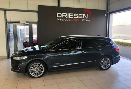 Ford HYBRID VIGNALE   BIJ DRIESEN IN BREE   089/46161 ...