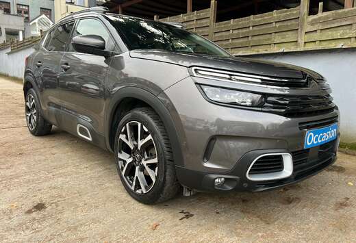 Citroen 1.2 PureTech 131cv Business Lounge S Automati ...