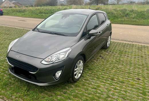 Ford Fiesta 1.0 EcoBoost Business Class (EU6.2)