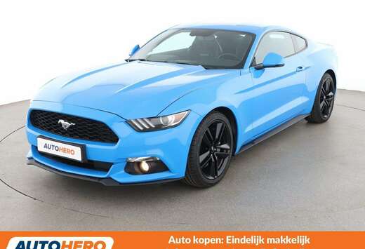 Ford 2.3 EcoBoost Basis