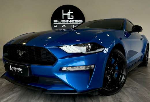 Ford 2.3/ FACELIFT/ ÉCHAPPMENT SPORT/ CARNET COMPLET ...