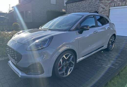 Ford ST 1.5 EcoBoost Ultimate (EU6d)