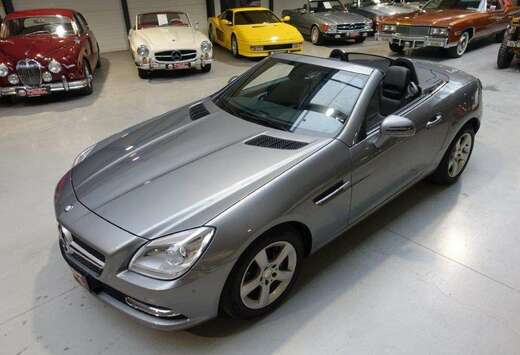 Mercedes-Benz 6 speed manual, panoramic roof