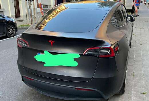 Tesla Model Y Standard