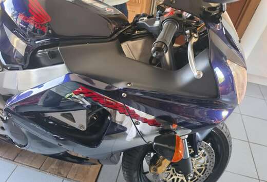 Honda rr fireblade ( 929 )
