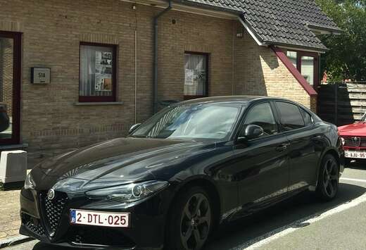 Alfa Romeo 2.0 T B-Tech (EU6d-TEMP)