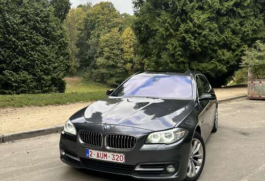 BMW 530d xDrive Touring Sport-Aut. Luxury Line