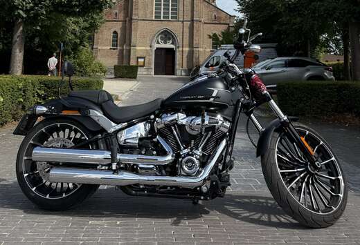 Matte Black,Sissy Bar, Side Bag