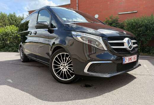 Mercedes-Benz Avangarde