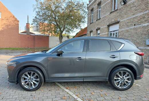 Mazda 2.0i SKYACTIV-G 2WD Skycruise (EU6d-T)