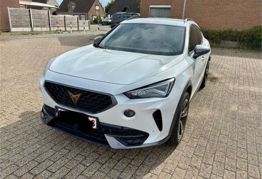 Formentor 1.4 e-Hybrid DSG Tribe Edition