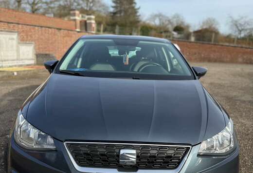 SEAT 1.0 TGI S&S XCELLENCE CNG/Gasoline