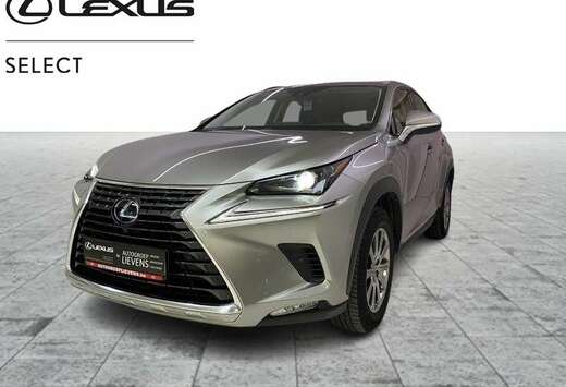 Lexus Business Line Plus AWD 2.5 Hyb