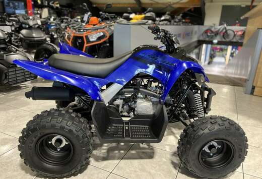 YFM 110 R