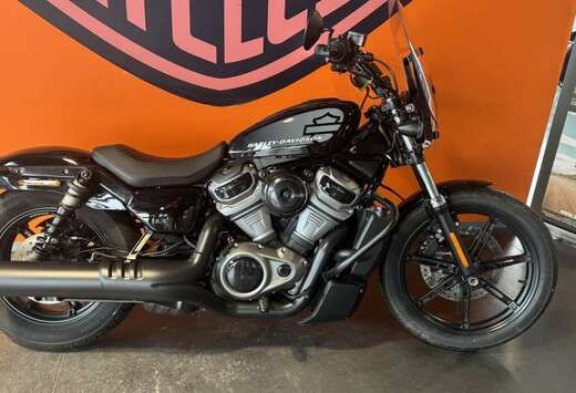 Chopper nightster