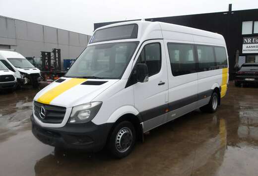 Mercedes-Benz 513 CDI personenvervoer (813)