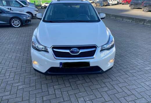 Subaru 2.0 D AWD Premium