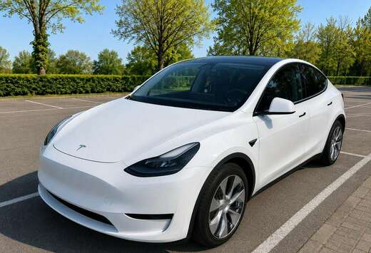Tesla SUV