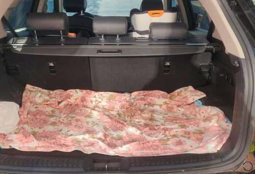 SsangYong Korando 1.6 E-XDI 4WD Onyx (EU6d-temp)