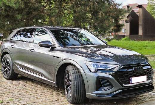 Audi Audi Q8 e-tron 55 quattro S line | Shadow Look P ...