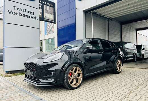 Ford 1.5 Ecoboost / ST / GOLD EDITION / NR 467 OF 999