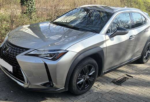 Lexus UX 250h 2.0i FWD Business Line