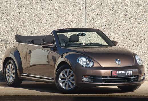 Volkswagen Beetle Cabriolet 1.2 TSI Design - Verwarmd ...