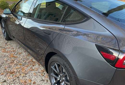 Tesla Model 3 Langstreckenbatt. Allradantrieb Dual Mo ...