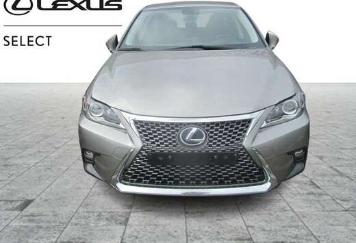 Lexus Business Line