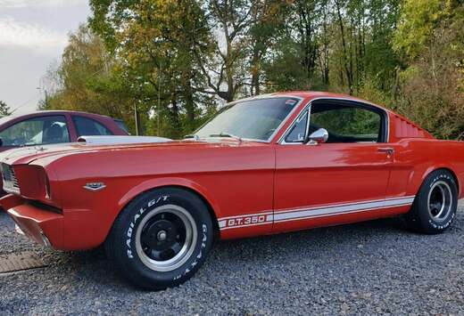 Ford Fastback Shelby GT350  Tribute / Schaltgetriebe
